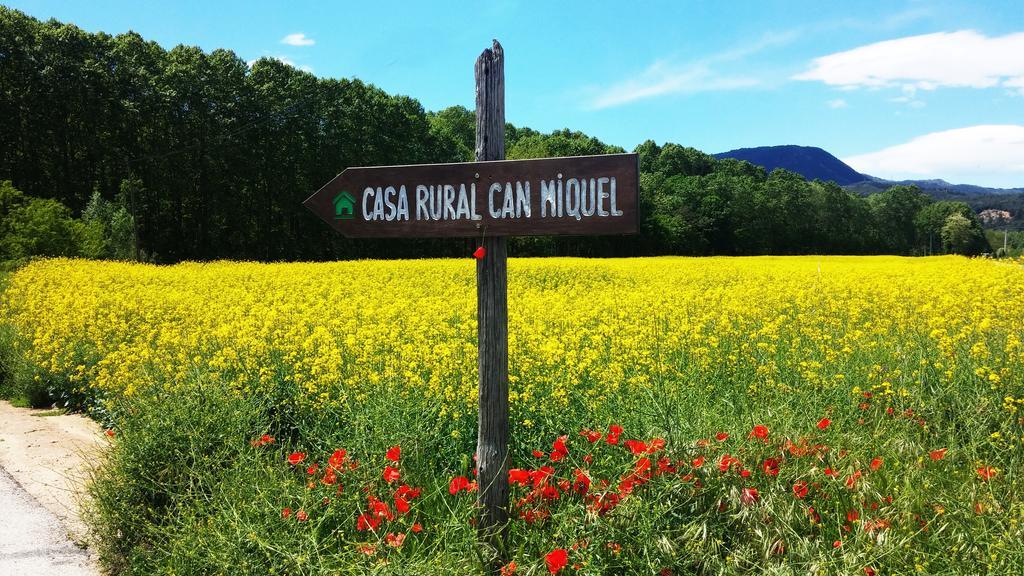 Casa Rural Can Miquel - En Pleno Bosque Y Cerca De La Playa - Increibles Rutas Btt Santa Coloma De Farners Ngoại thất bức ảnh