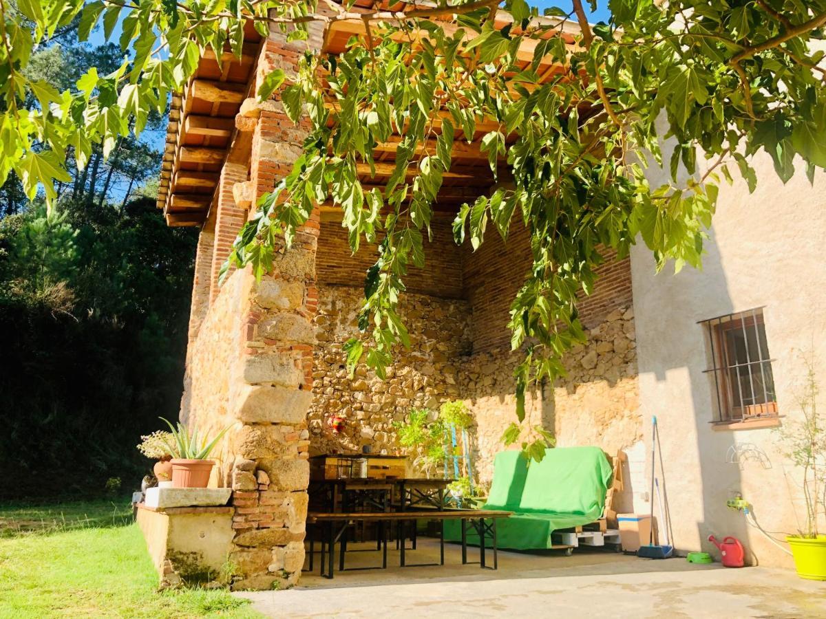 Casa Rural Can Miquel - En Pleno Bosque Y Cerca De La Playa - Increibles Rutas Btt Santa Coloma De Farners Ngoại thất bức ảnh