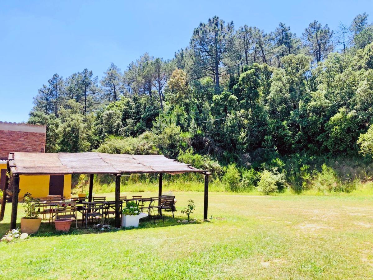 Casa Rural Can Miquel - En Pleno Bosque Y Cerca De La Playa - Increibles Rutas Btt Santa Coloma De Farners Ngoại thất bức ảnh