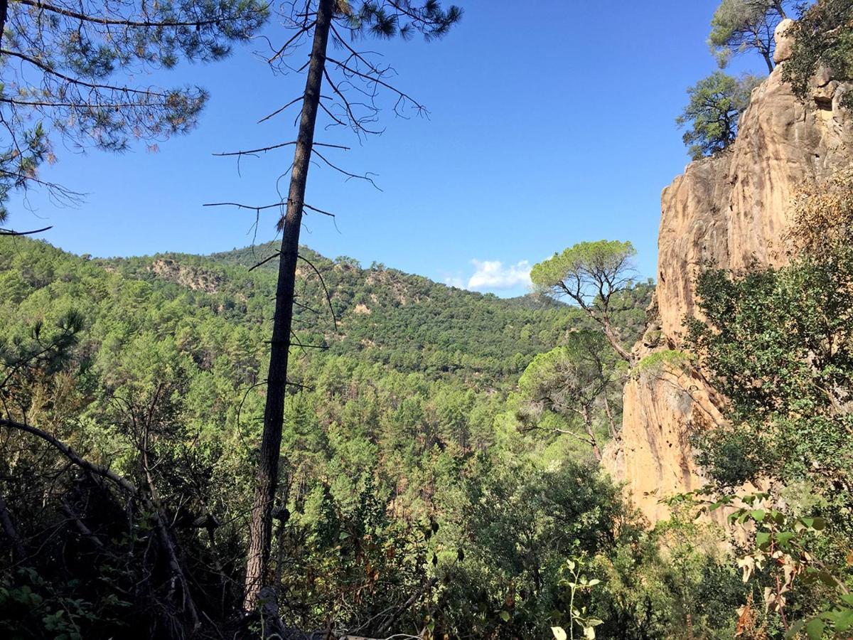 Casa Rural Can Miquel - En Pleno Bosque Y Cerca De La Playa - Increibles Rutas Btt Santa Coloma De Farners Ngoại thất bức ảnh